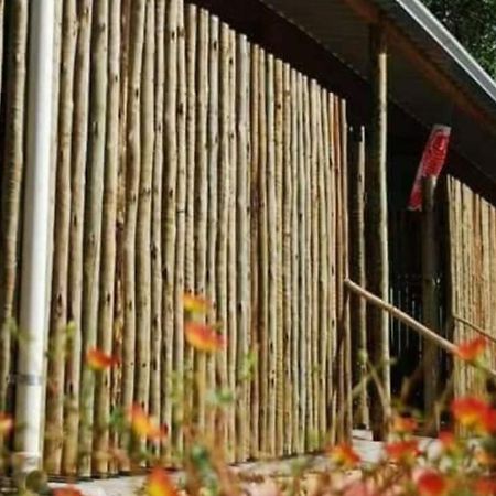 Chales Na Mata Ubatuba Eksteriør bilde